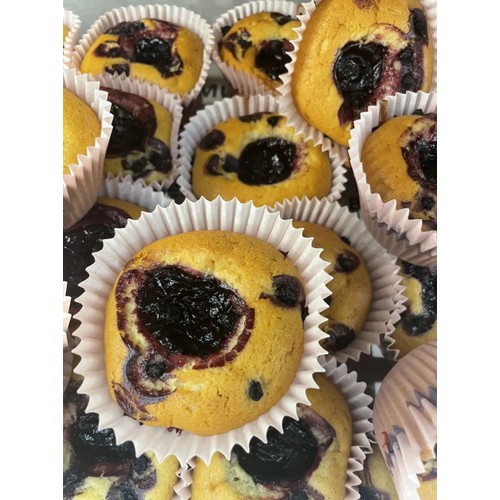 Blåbärsmuffins