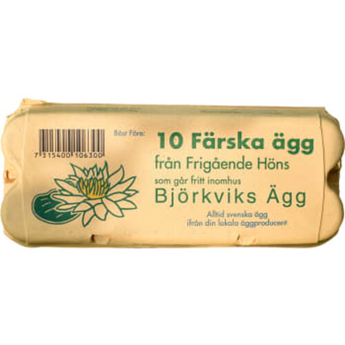 Ägg 10-pack Björviks Ägg