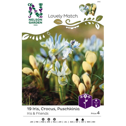 Höstlök Iris/Crocus/Puschkinia 1st Nelson Garden