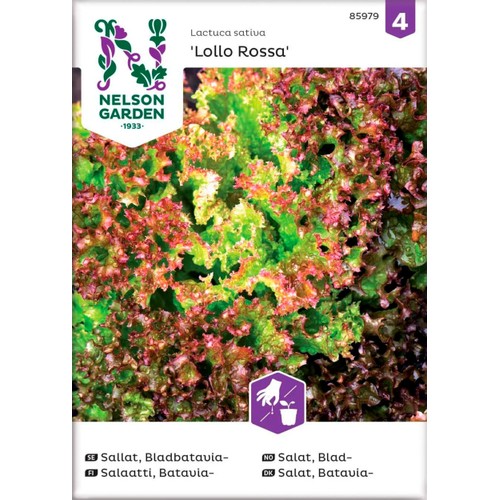 Sallat Bladbatavia Lollo Rossa 1-p Nelson Garden