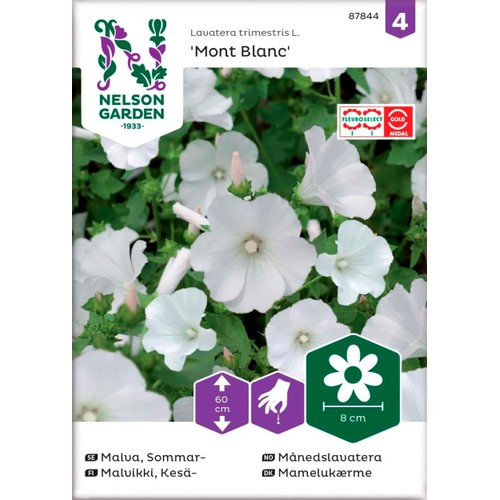 Malva Sommar Mont Blanc 1-p Nelson Garden