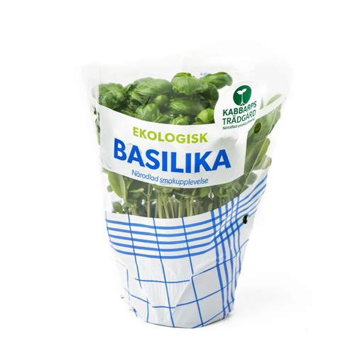 Basilika Ekologisk 1-p Kabbarps Trädgård