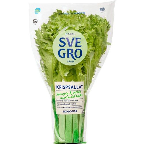 Krispsallad kruka 1-p KRAV Svegro