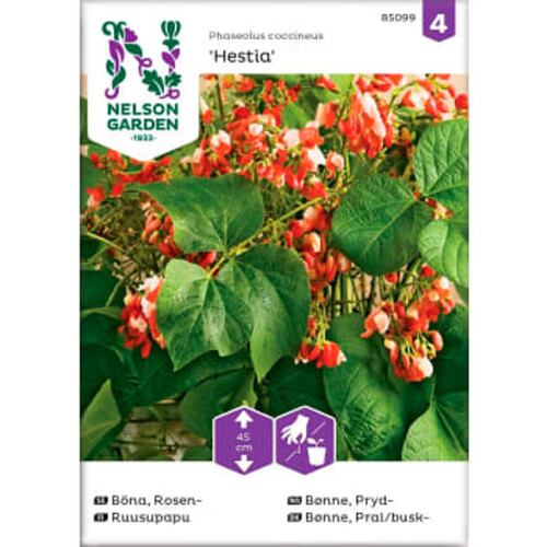 Böna Blomster Hestia 1-p Nelson Garden
