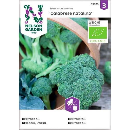 Broccoli Calabrese Natalino 1-p Nelson Garden