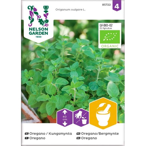 Oregano Kungsmynta Organic 1-p Nelson Garden