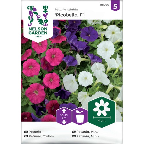 Petunia, Fantasy, mini, bl färger Nelson Garden