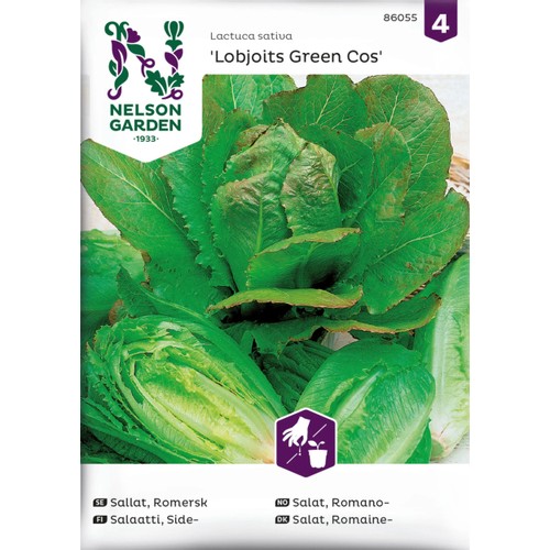 Sallat, Romersk-, Lobjoits Green Nelson Garden