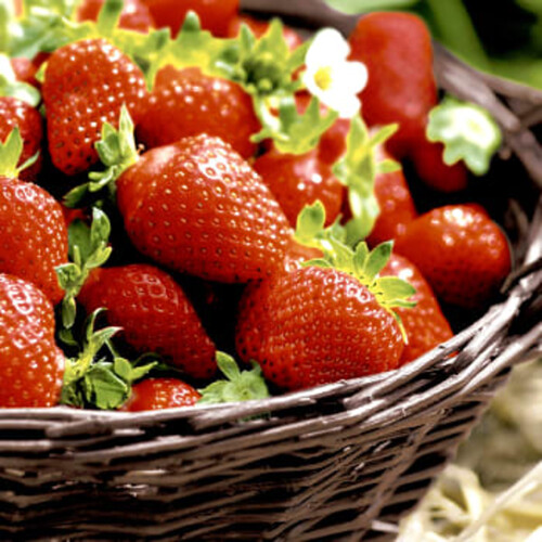 Servetter Mönstrade Strawberries 20st Duni