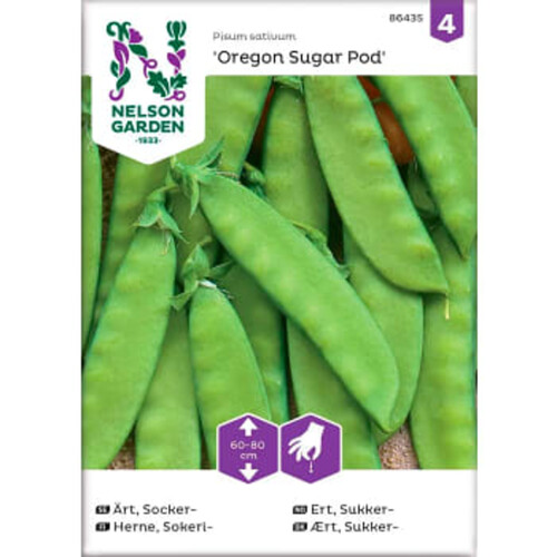 Ärt Socker Oregon Sugar Pod 1-p Nelson Garden