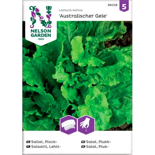 Sallat Plock Australischer 1-p Nelson Garden