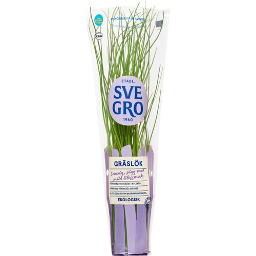 Gräslök i kruka Ekologisk 1-p KRAV Svegro