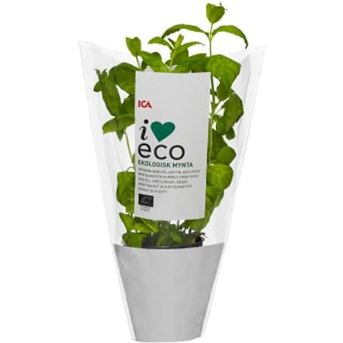 Mynta Ekologisk 1-p KRAV ICA I love eco