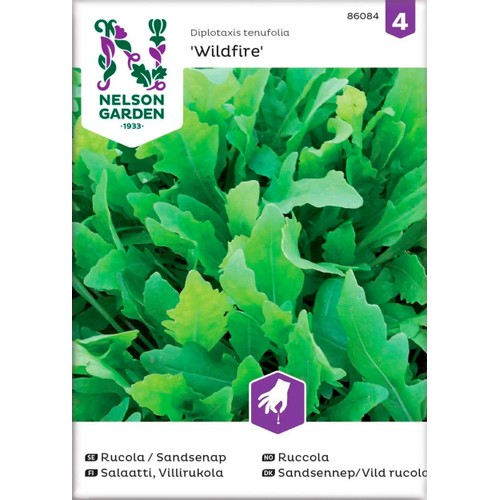 Rucola Sandsenap Wildfire 1-p Nelson Garden