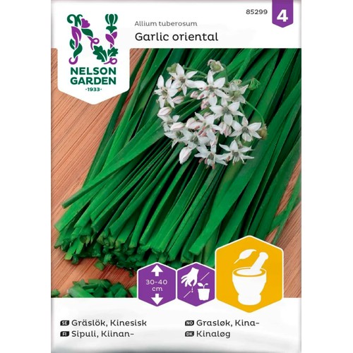 Gräslök Kinesisk Garlic oriental 1-p Nelson Garden