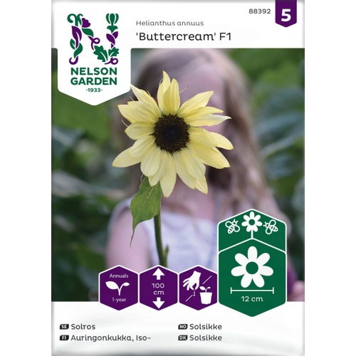 Solros Buttercream F1 Nelson Garden