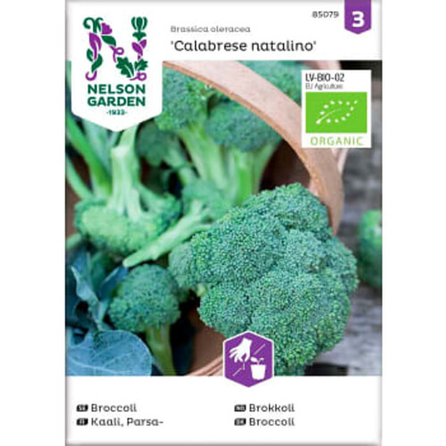 Broccoli Calabrese Natalino 1-p Nelson Garden