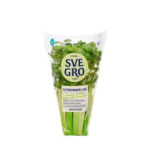 Citronmeliss i kruka Ekologisk 1-p KRAV Svegro