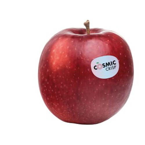 Äpple Cosmic Crisp ca 240g Klass 1