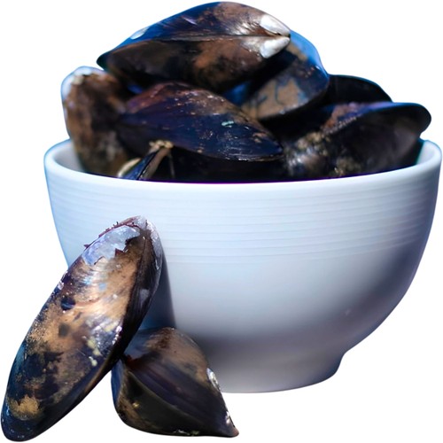Blåmussla I Skal Chilensk 1kg Feldt's Fisk