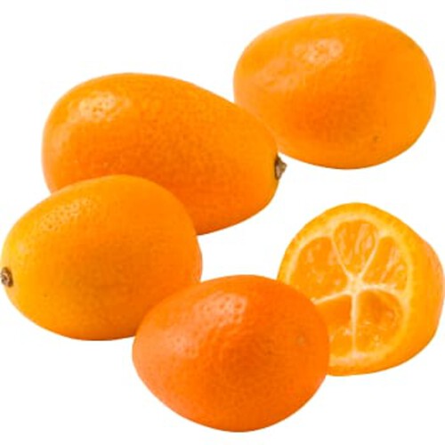 Kumquat ca 8g Klass 1 ICA