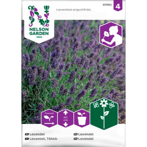 Lavendel 1-p Nelson Garden