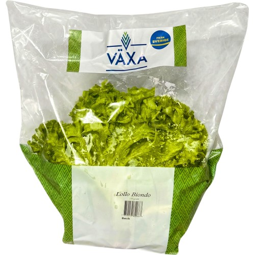 Sallad Lollo Biondo 150g Växa odling i Sverige