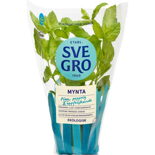 Mynta i kruka Ekologisk 1-p KRAV Svegro