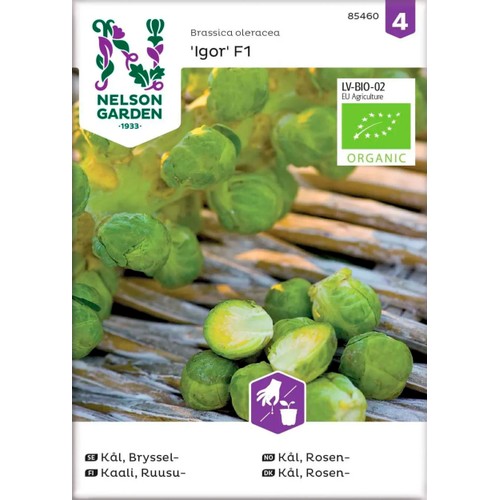 Kål Bryssel Igor 1-p Nelson Garden