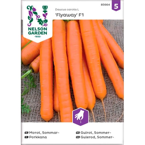 Morot Sommar Flyaway F1 1-p Nelson Garden