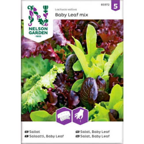 Sallat Baby Leaf 1-p Nelson Garden