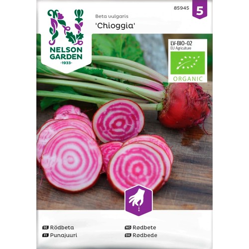 Rödbeta Chioggia Organic 1-p Nelson Garden