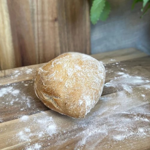 Surdegsfralla Levain