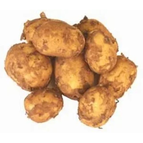 Färskpotatis Otv. 1 kg