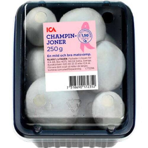 Champinjon 250g Klass 1 ICA