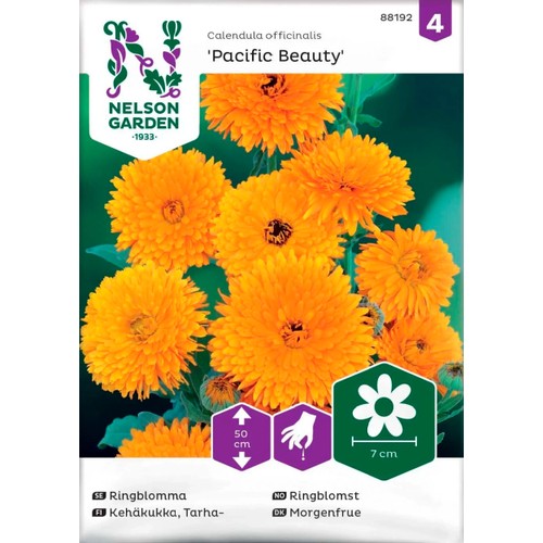 Ringblomma Pacifi 1-p Nelson Garden