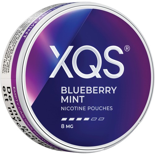 XQS Blueberry Mint Strong 10g