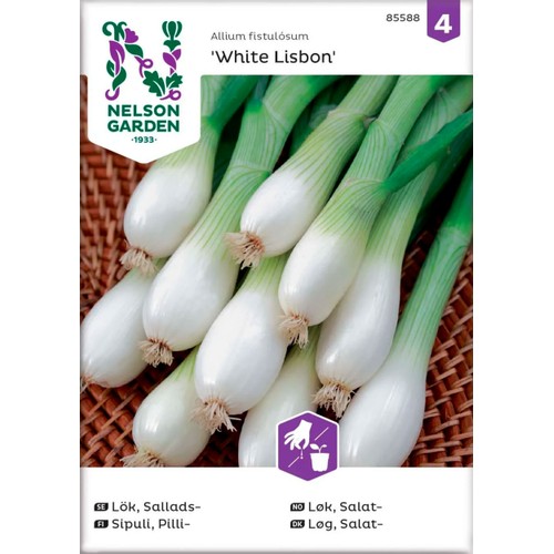 Lök Sallads White Lisbon 1-p Nelson Garden