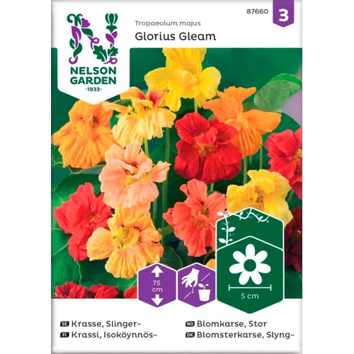 Krasse Slinger Glorius Gleam 1-p Nelson Garden