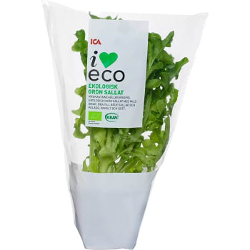 Grön kruksallat Ekologisk 1-p KRAV Klass 1 ICA I love eco