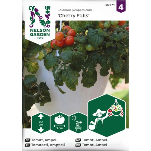 Tomat, Ampel-, Cherry Falls Nelson Garden