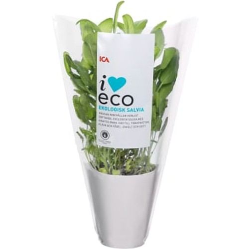 Salvia Ekologisk 1-p KRAV Klass 1 ICA I love eco