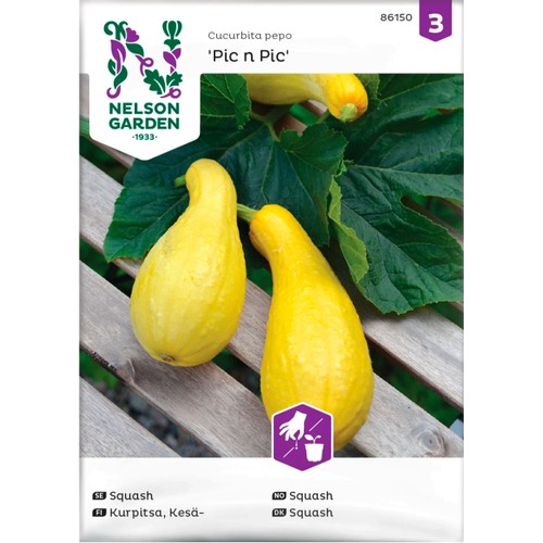 Squash Pic n pic 1-p Nelson Garden