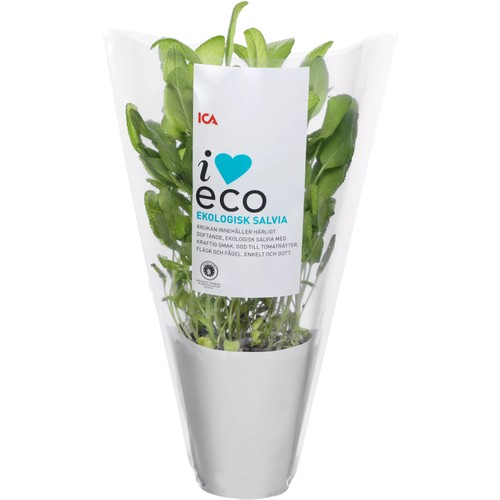 Salvia Ekologisk 1-p KRAV Klass 1 ICA I love eco