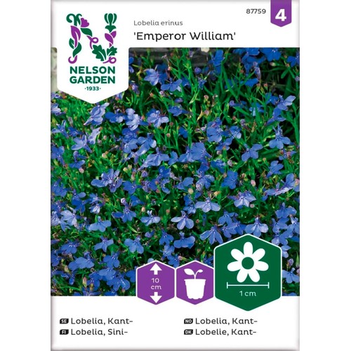 Lobelia Kant Emperor William 1-p Nelson Garden