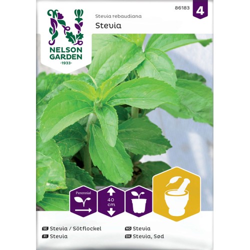 Sötflockel / Stevia Nelson Garden