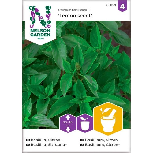 Basilika Citron Lemon Scent 1-p Nelson Garden