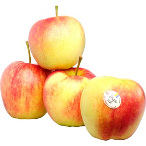 Äpple Saga 4 pack Klass 2 ICA