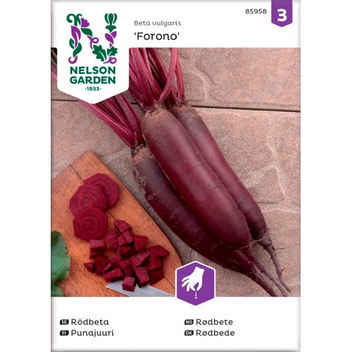 Rödbeta Forono Avlång 1-p Nelson Garden