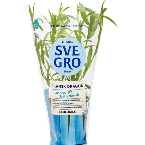Fransk Dragon i kruka Ekologisk 1-p KRAV Svegro